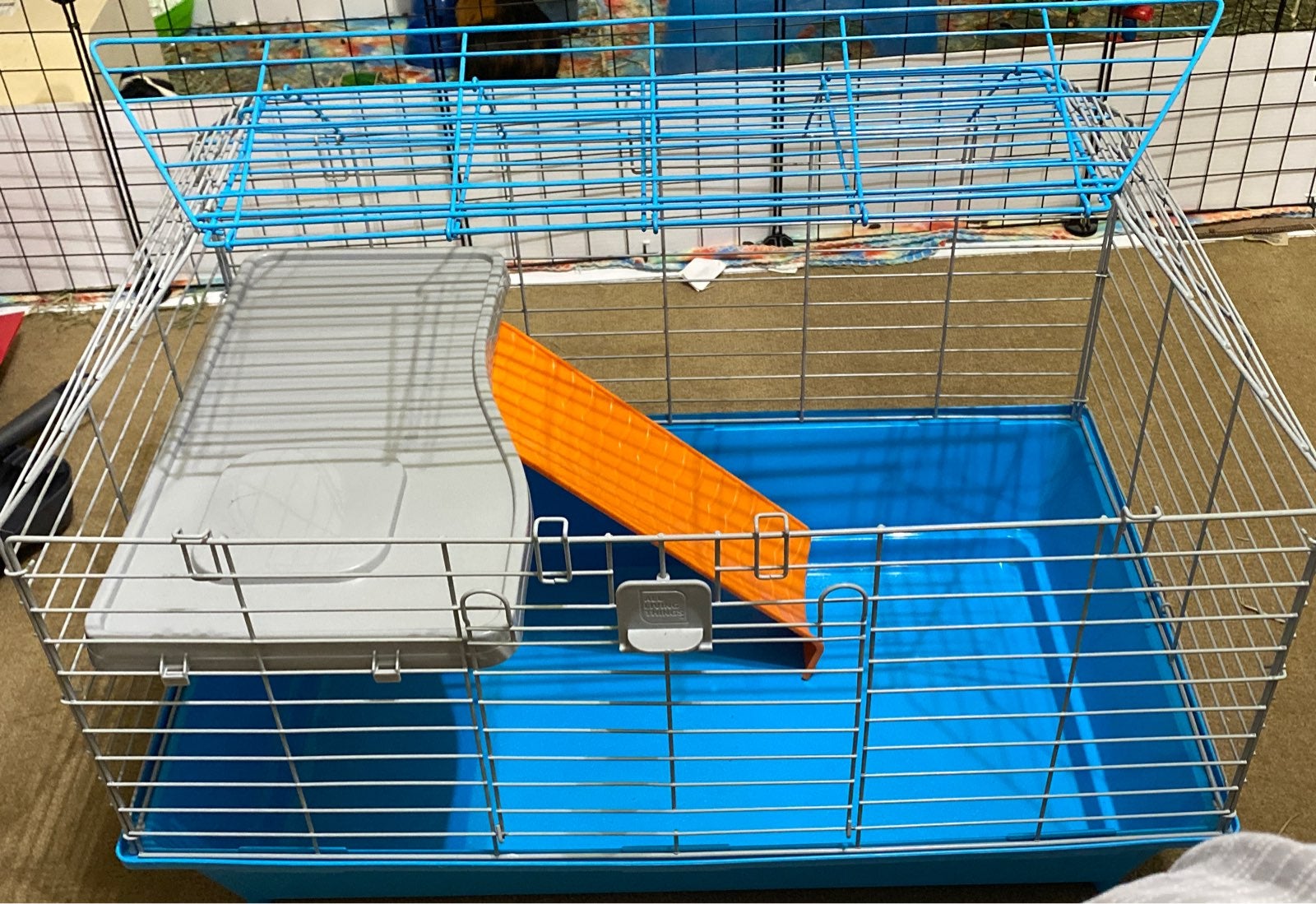 Guinea Pig Cage