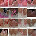 Press on nails