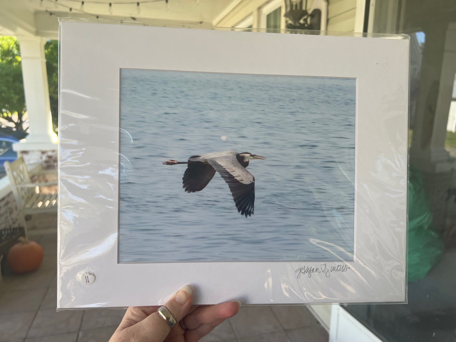 Flying Heron over water ~ signed print ~ signed by Artist