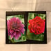 Glossy wood panels 48 each
