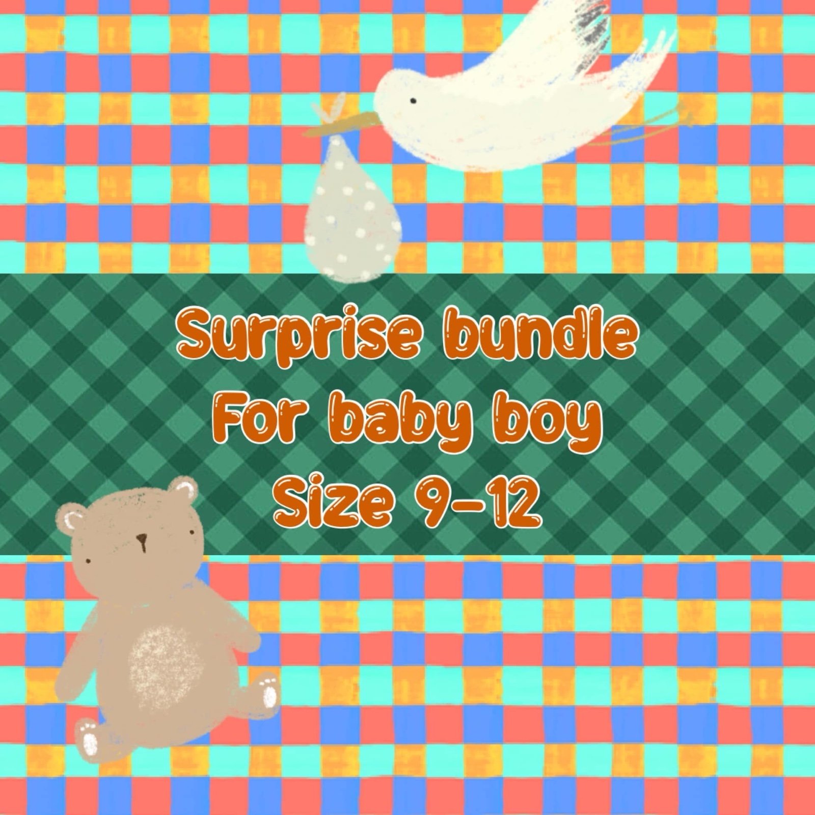 SURPRISE 9-12 MONTH CLOTHING BUNDLE
