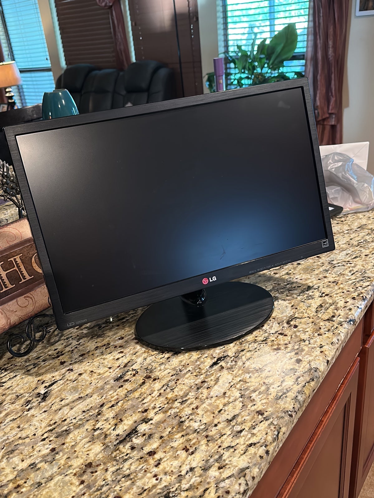 LG Monitor 22in