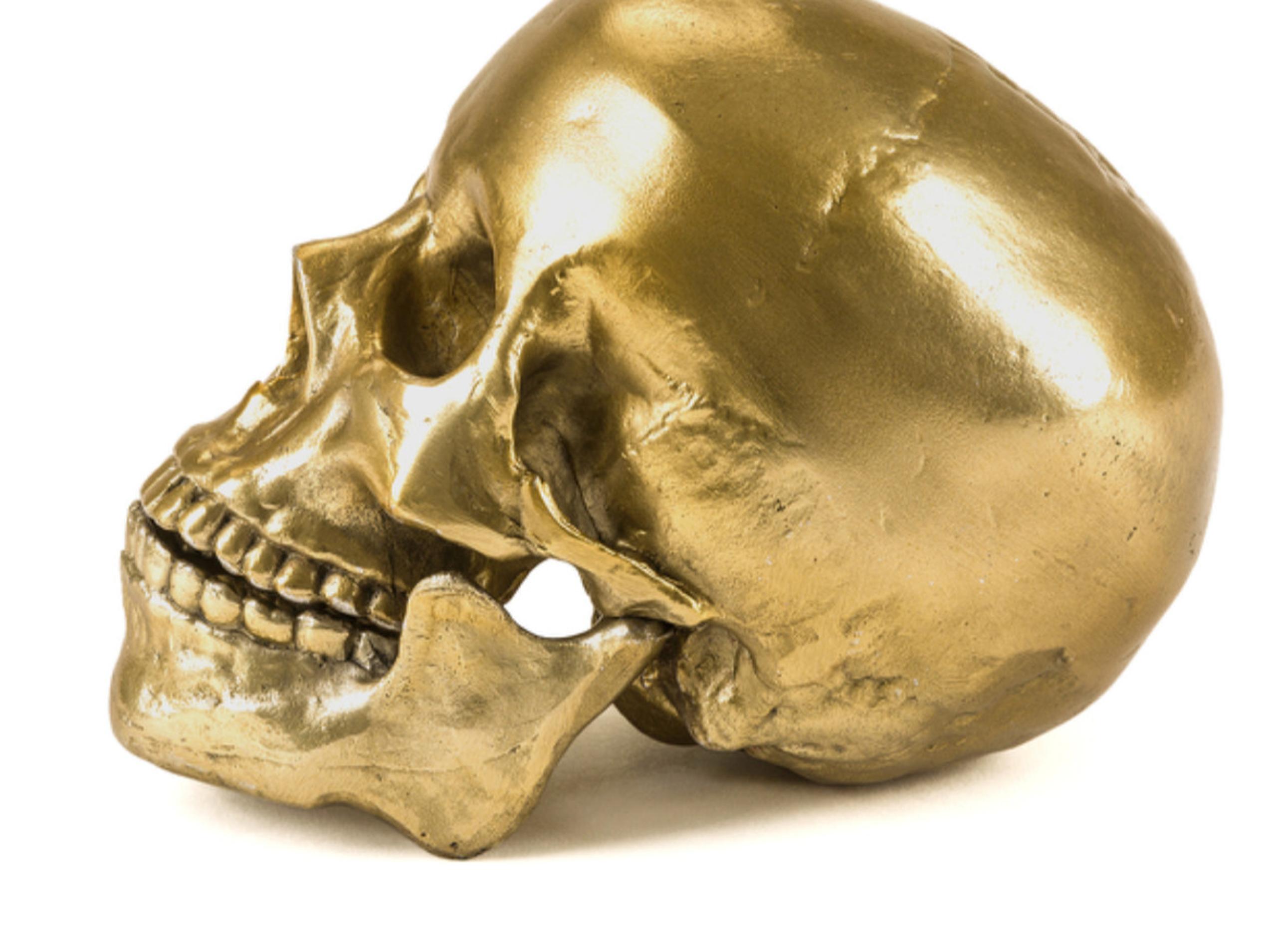 DIESEL X SELETTI - 10891 Wunderkammer Human Skull in Gold TONE MSRP $350