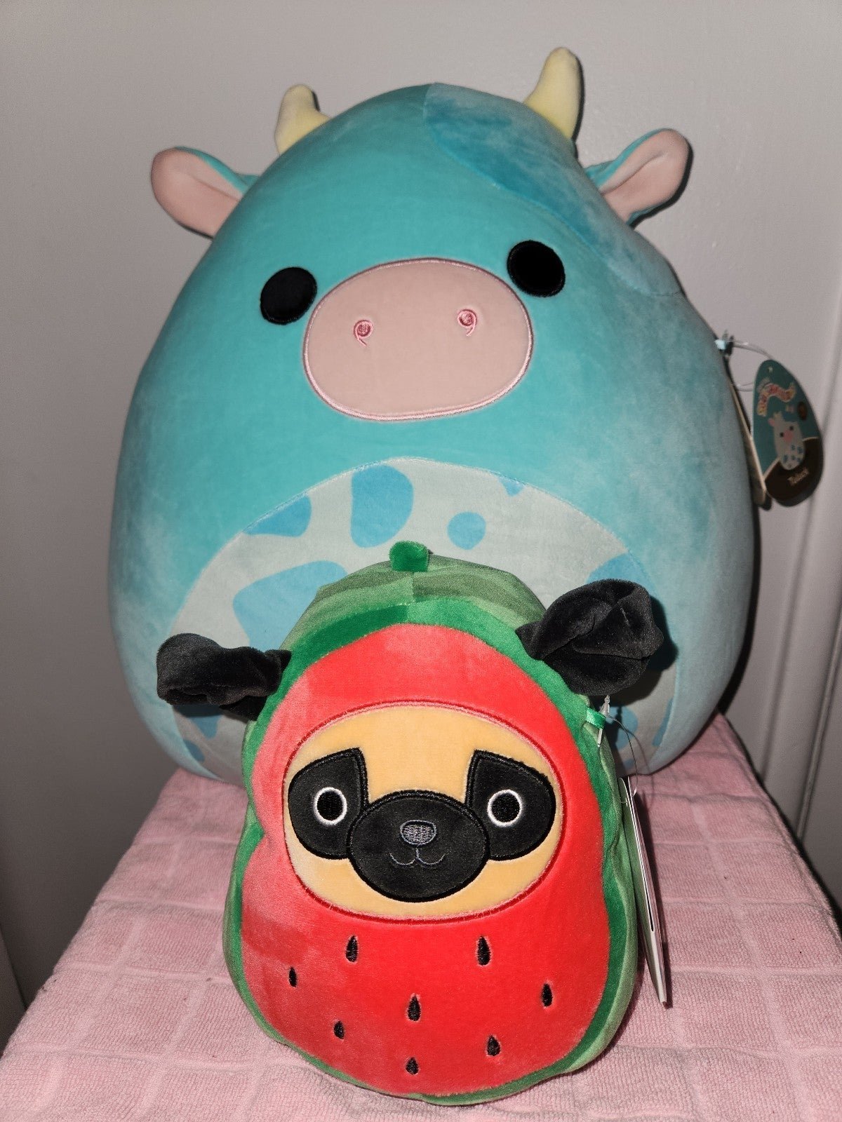 Squishmallow Bundle New
