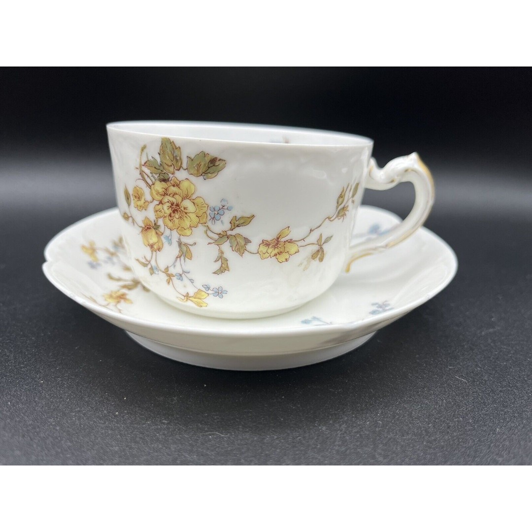 Haviland Limoges Schleiger 266i Yellow Rose Cup & Saucer Set, Nenuphar Blank 411