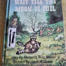 1948 wait till the moon is full book