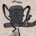 Wild bird aerial carrier in comet