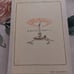 Vintage Velveteen Rabbit Children's book