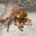 OB11 OOAK BJD YMY BODY POLYMER CLAY HEAD