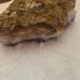 Amethyst in Rock