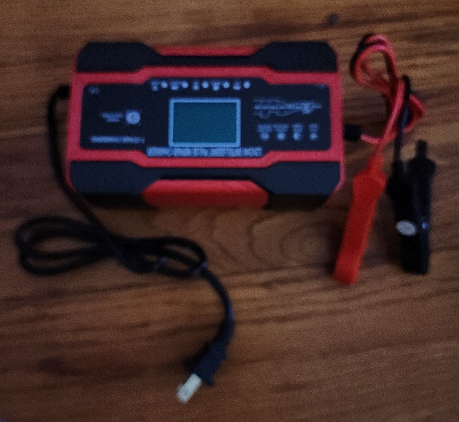 RJ TIANYE Intelligent Pulse Repair Charger Red 12V/24V RJ-C121001A