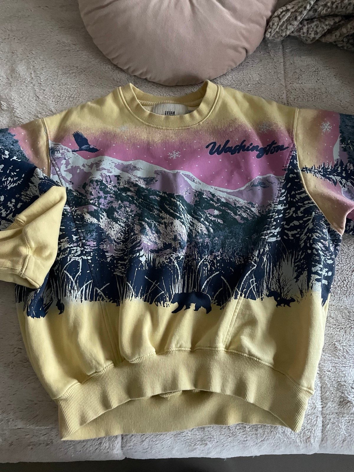 Urban Outfitters Washington Sweatshirt Limited Edition