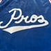 Nike pros lil penny jersey