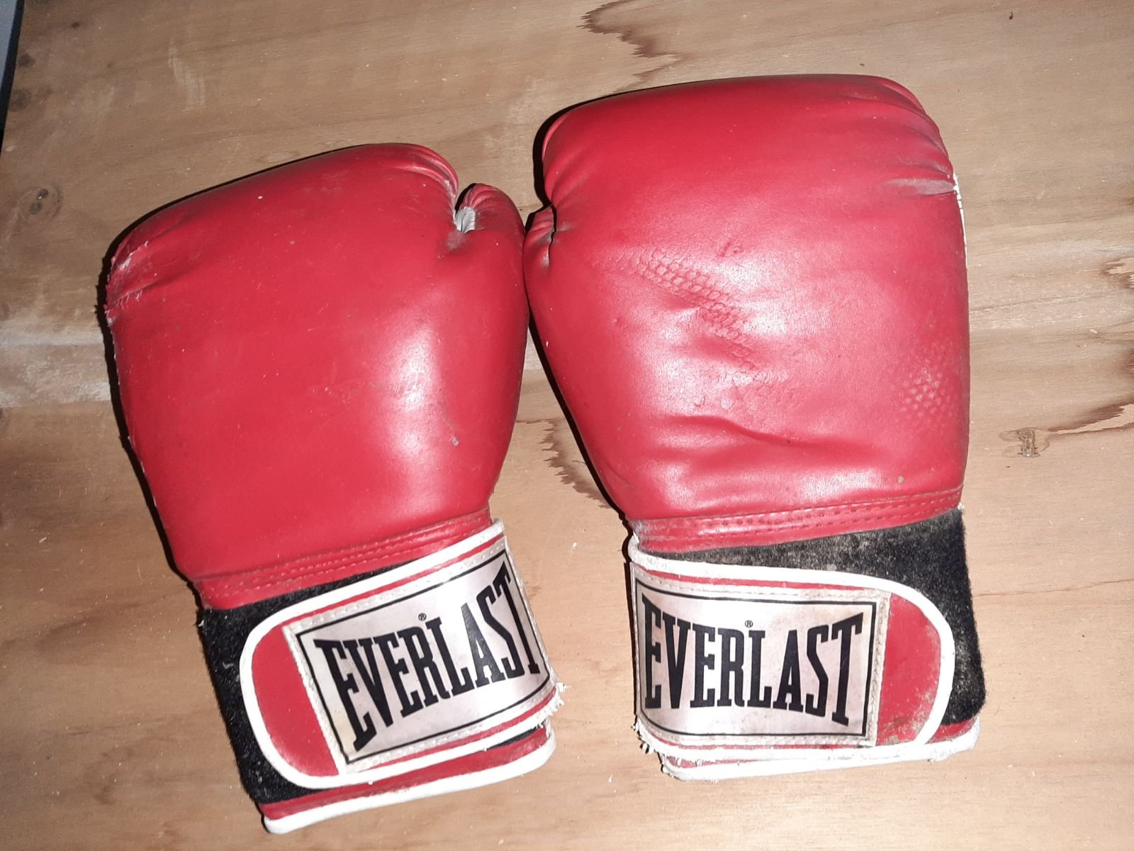 Everlast training boxing gloves