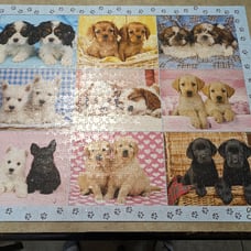 White Mountain SEEING DOUBLE 1000 Pc Puzzle Puppy Dogs Greg Cuddiford Complete