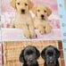 White Mountain SEEING DOUBLE 1000 Pc Puzzle Puppy Dogs Greg Cuddiford Complete