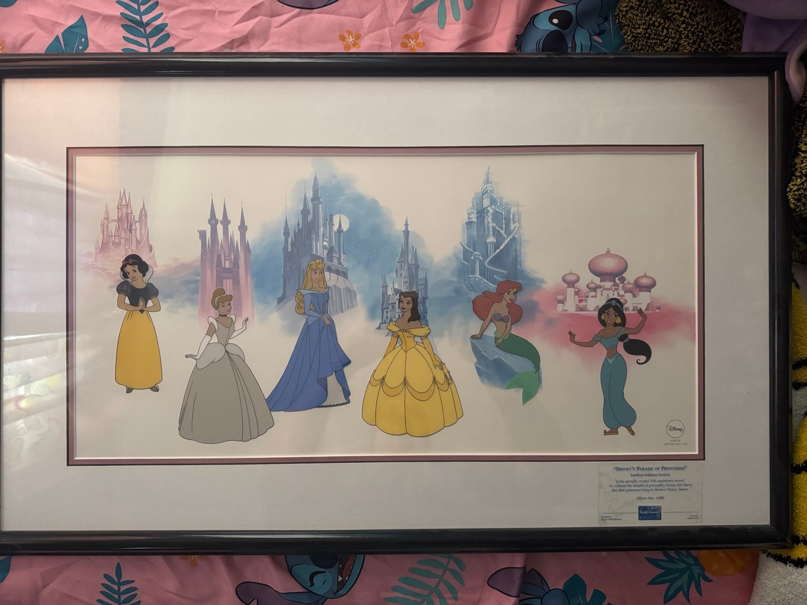 Princesses on parade limited edition