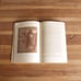 The Book of the Camp Fire Girls - vintage illustrated handbook from 1922