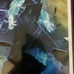 ULTIMATE BLACK PANTHER #1 (Marvel 2024) Cover A & Bosslogic Variant * 2 Book Lot