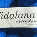 Vidalana Ascendance yarn in Vivid Blue - 2 skeins (more available!)