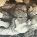 1966 DARE WRIGHT-A Gift From the LONELY DOLL-FIRST Edition-HC w/ DJ in Mylar