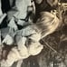 1966 DARE WRIGHT-A Gift From the LONELY DOLL-FIRST Edition-HC w/ DJ in Mylar