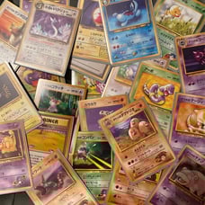 Pocket monsters (japanese)