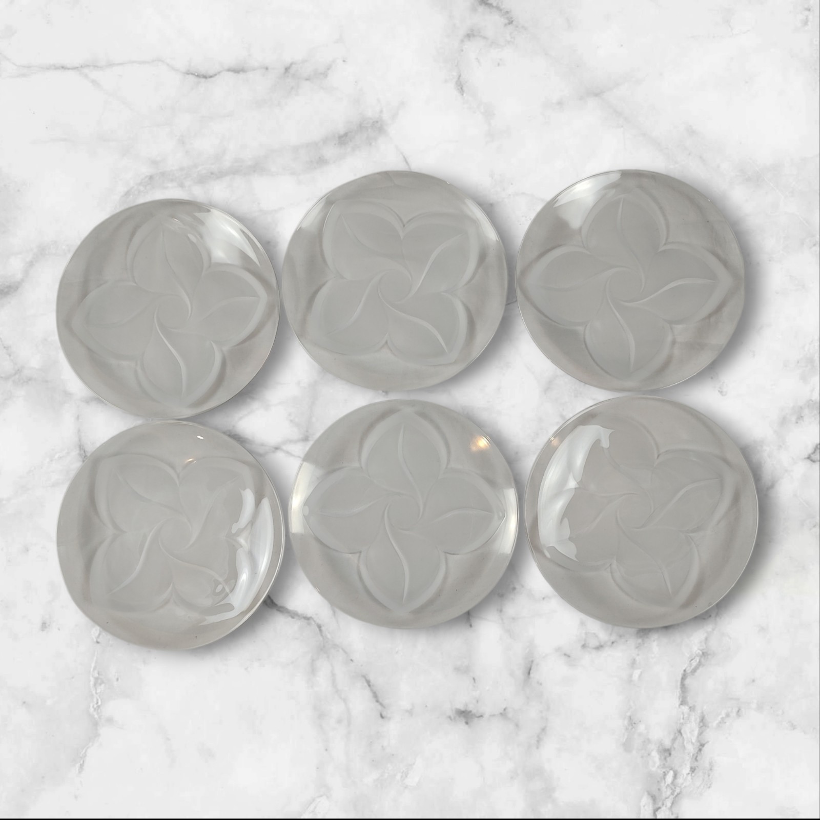 6 Cristal D'Arques Durand Florence Frosted Salad Plates