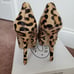 Steve madden platform heels