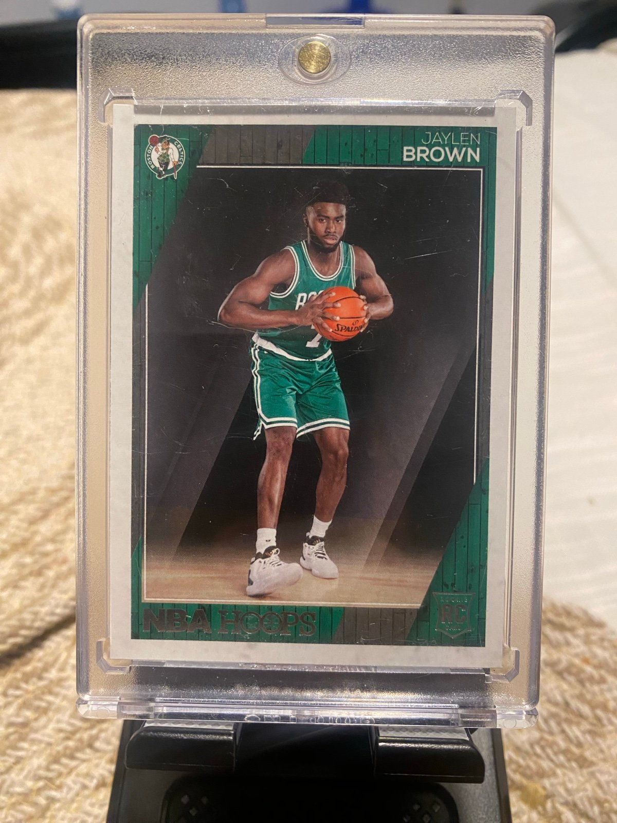 jaylen brown rookie