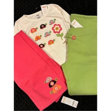 NWT Gymboree Growing Flowers Embroidered Turtle Tee & Twill Fleece Pant LOT 12