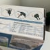 Pop Up Kids Playpen *OFFERS CONSIDERED*