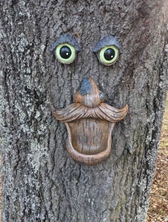 Tree Face Birdfeeder Old Man with Glowing Eyes in Dark Outdoor Tree Hugger