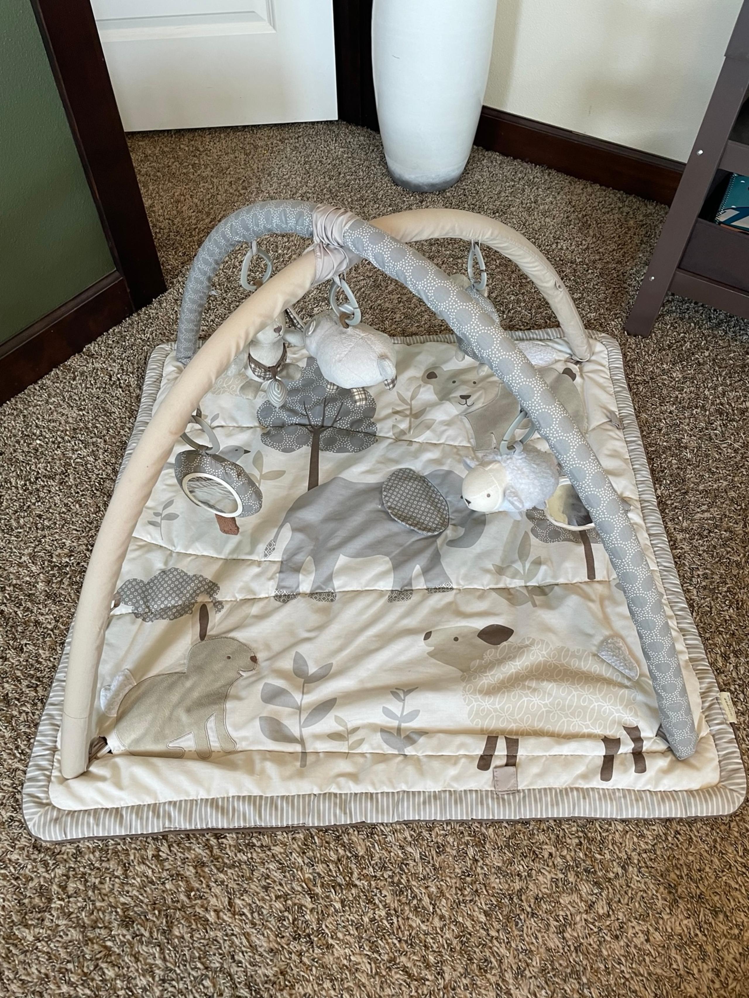 Skip Hop x Pottery Barn Kids Baby Activity Gym