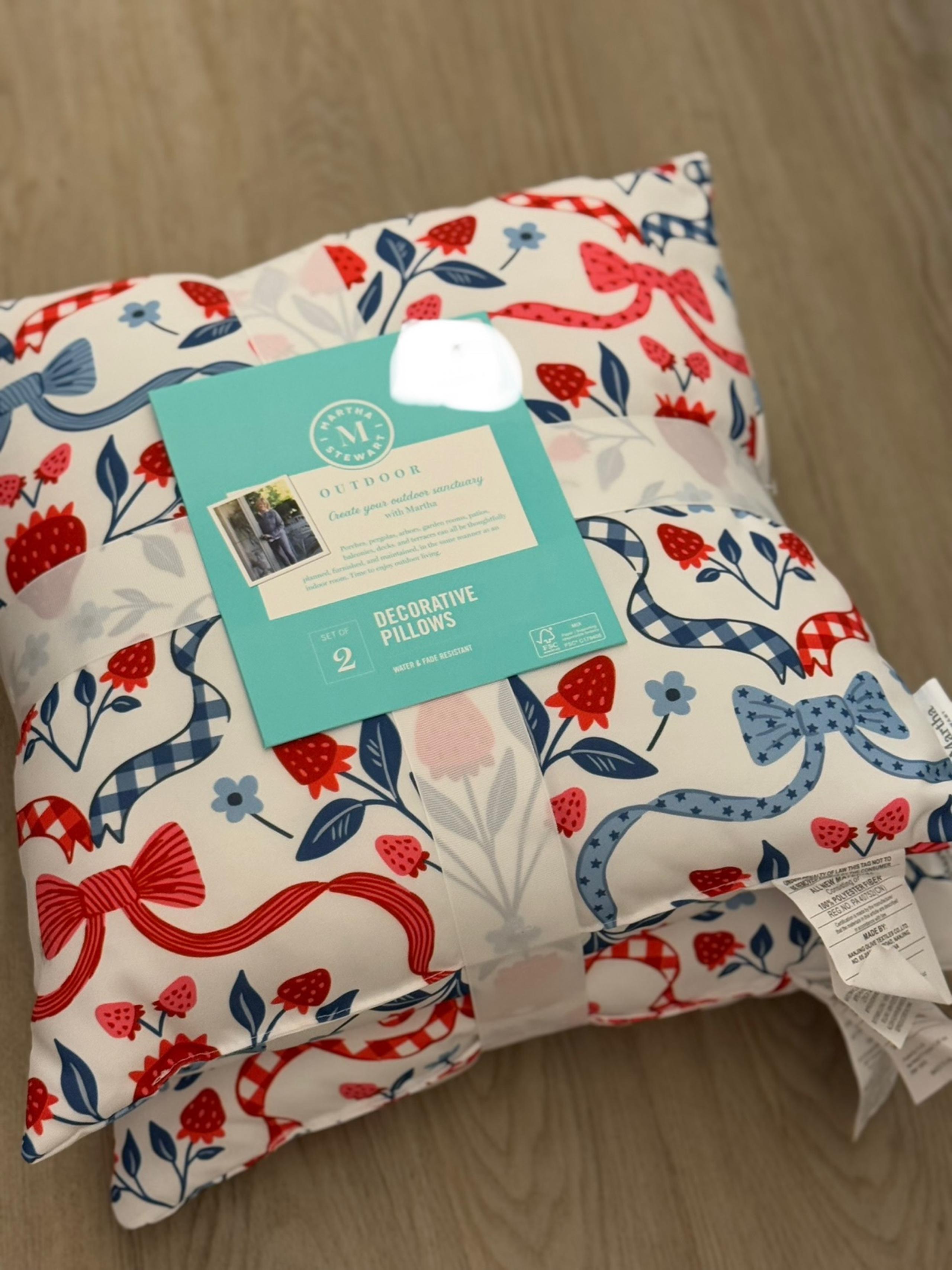 martha stewart 2 decor pillows