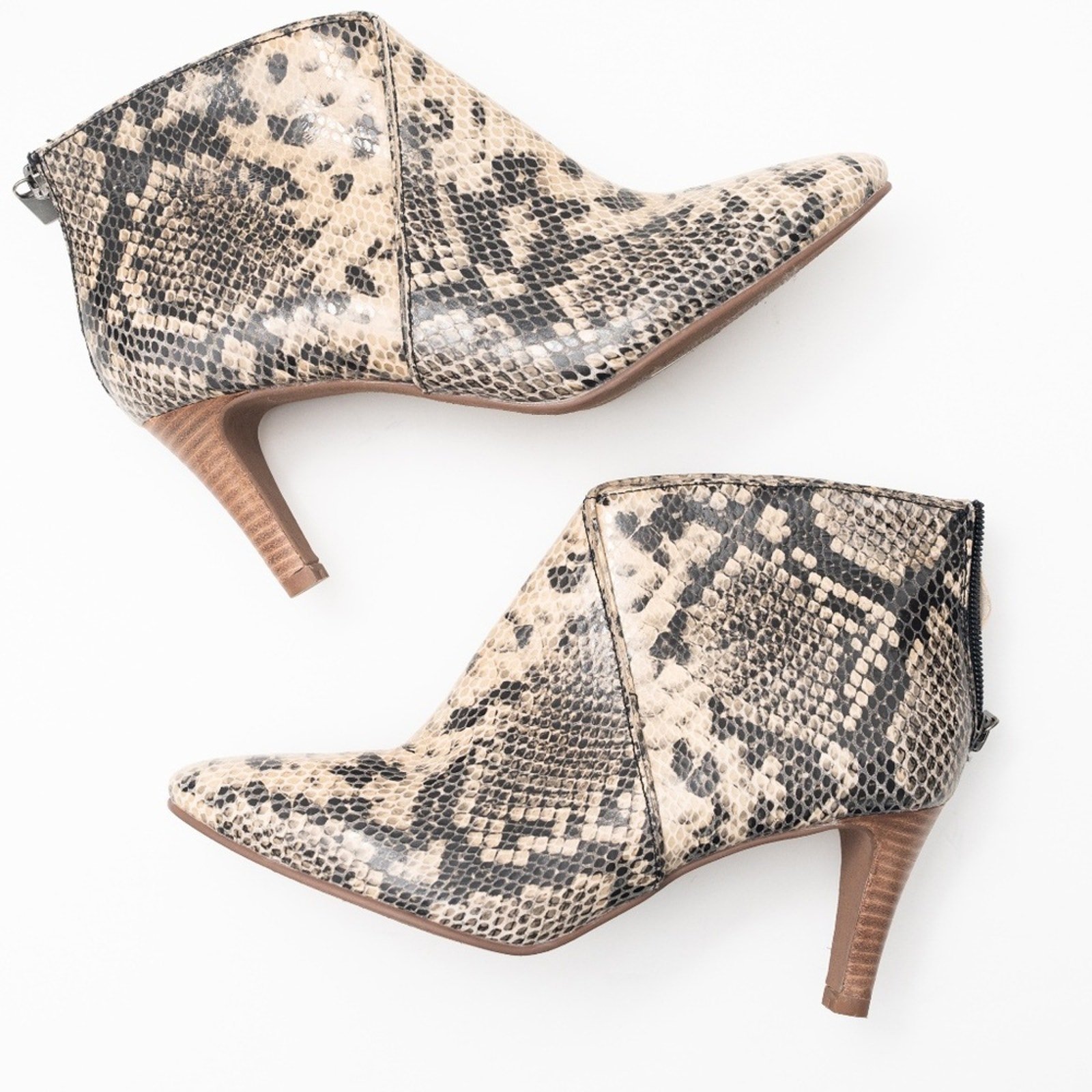 Seychelles. New! Snake Heeled Ankle Boots.