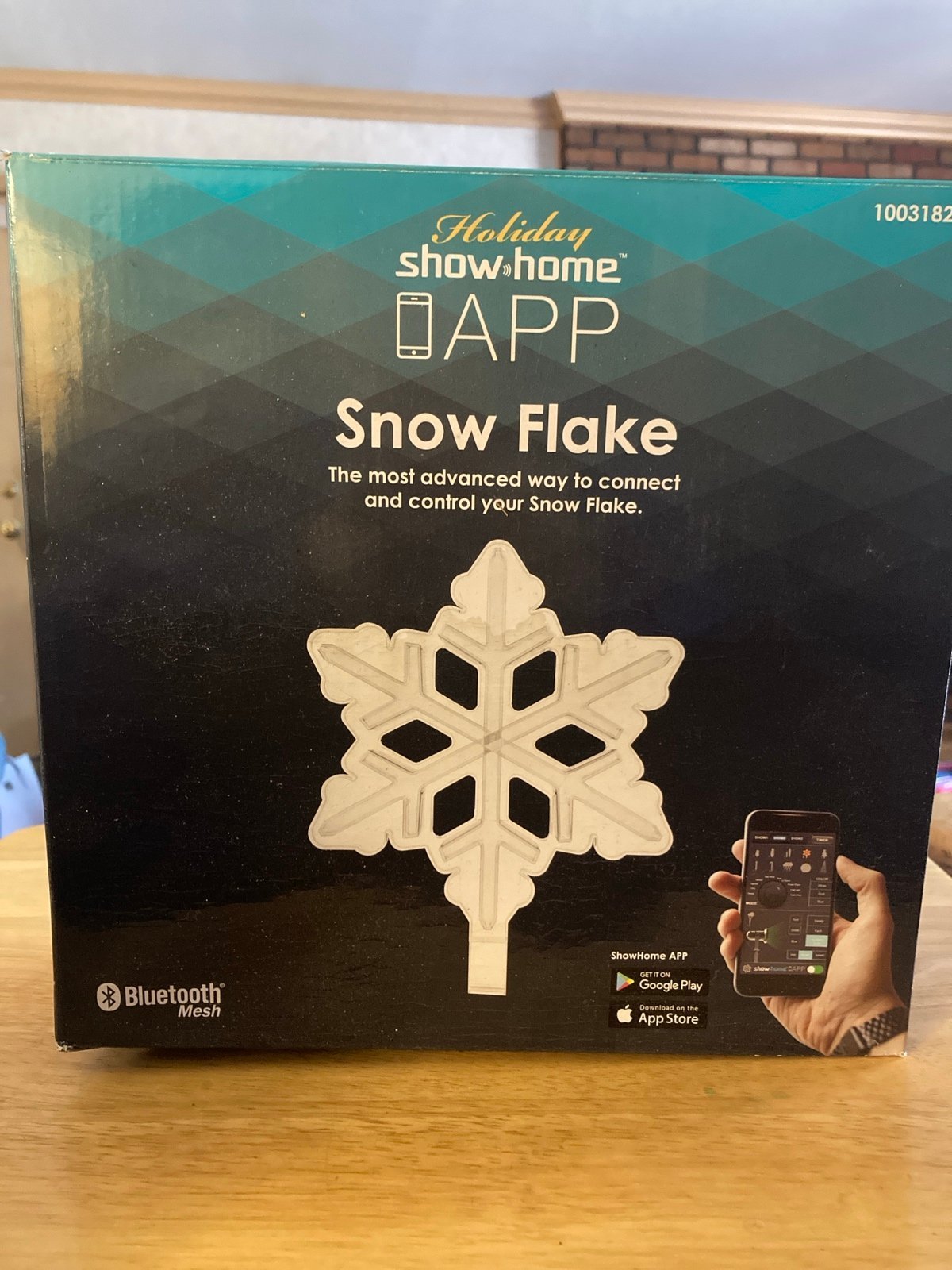 Holiday Show Home Snowflake