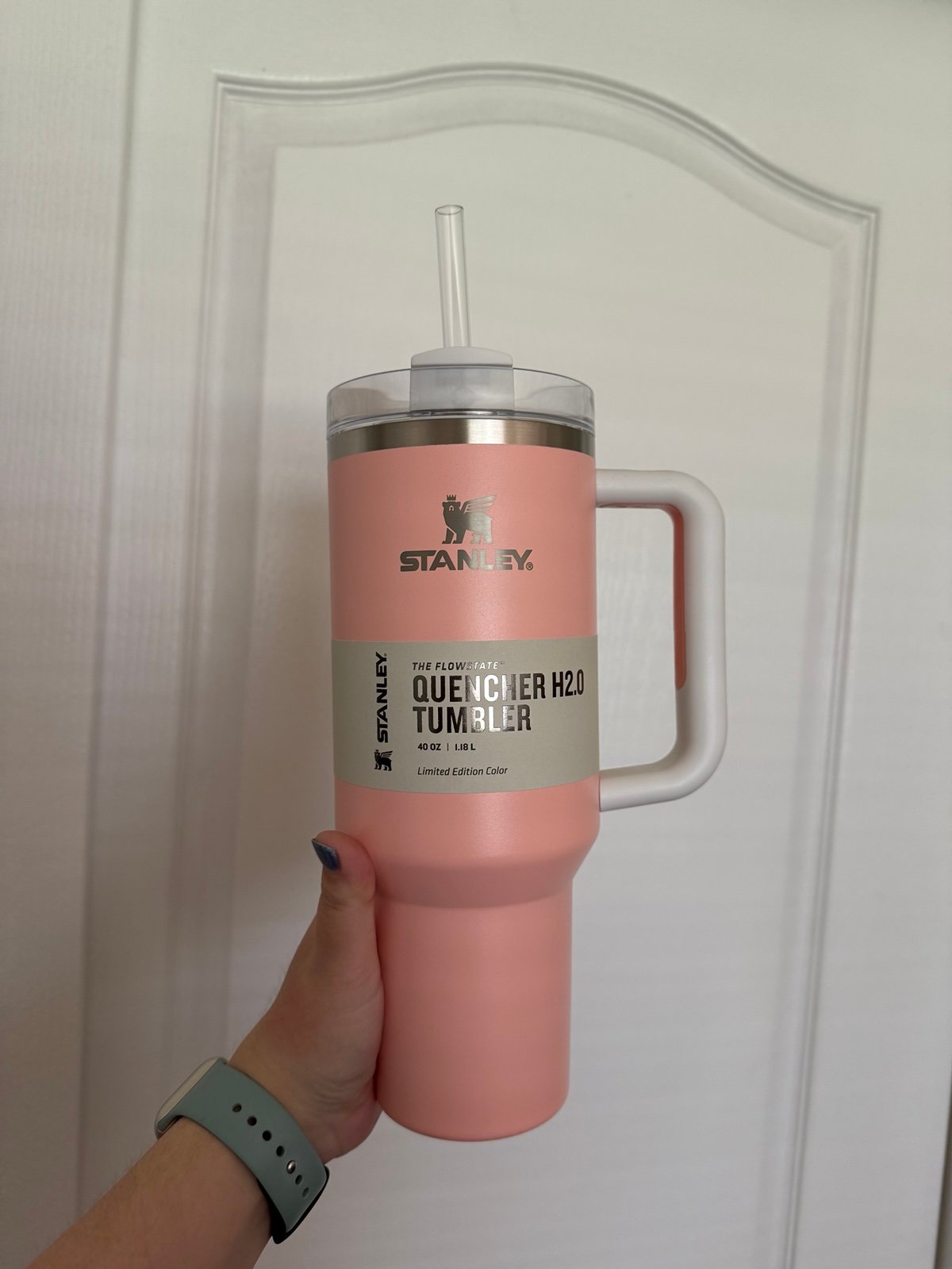 Pink Target Exclusive 40oz Stanley