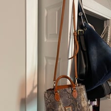 Dooney and Bourke Snake print Crossbody