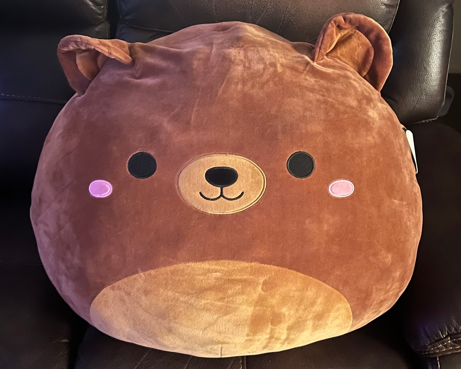 Omar the bear Squishmallow Brown Plush Toy Size: 24 32 Kellytoy
