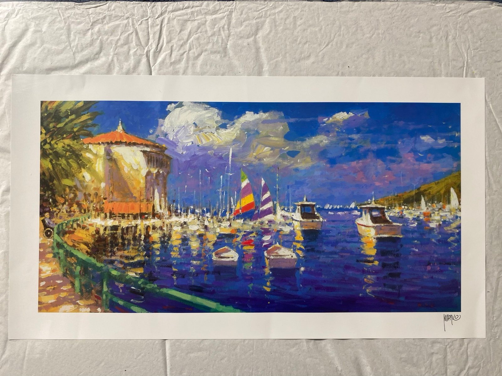 MARKO MAVROVICH~A DAY IN CATALINA