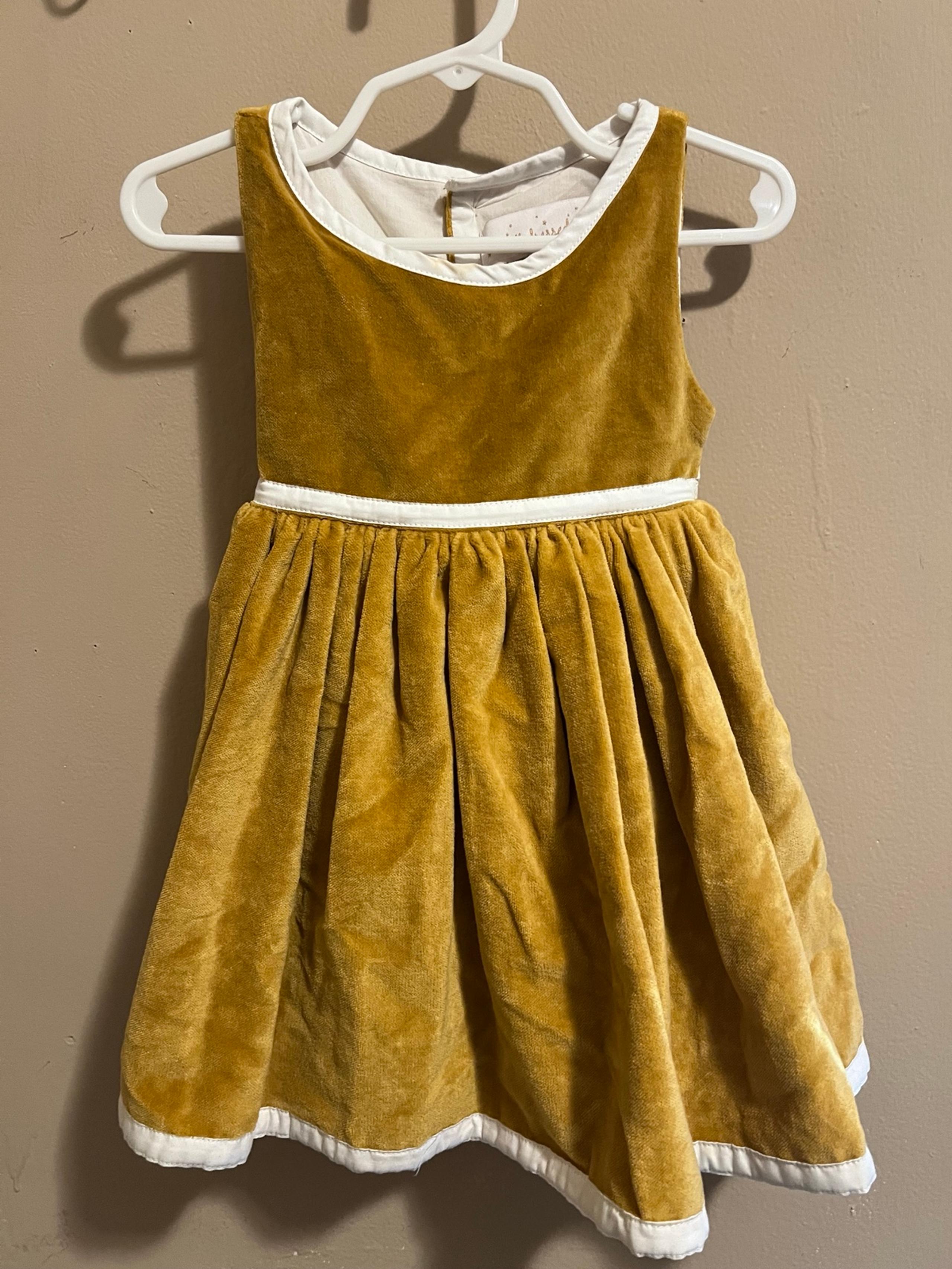 Well dressed wolf velvet dress