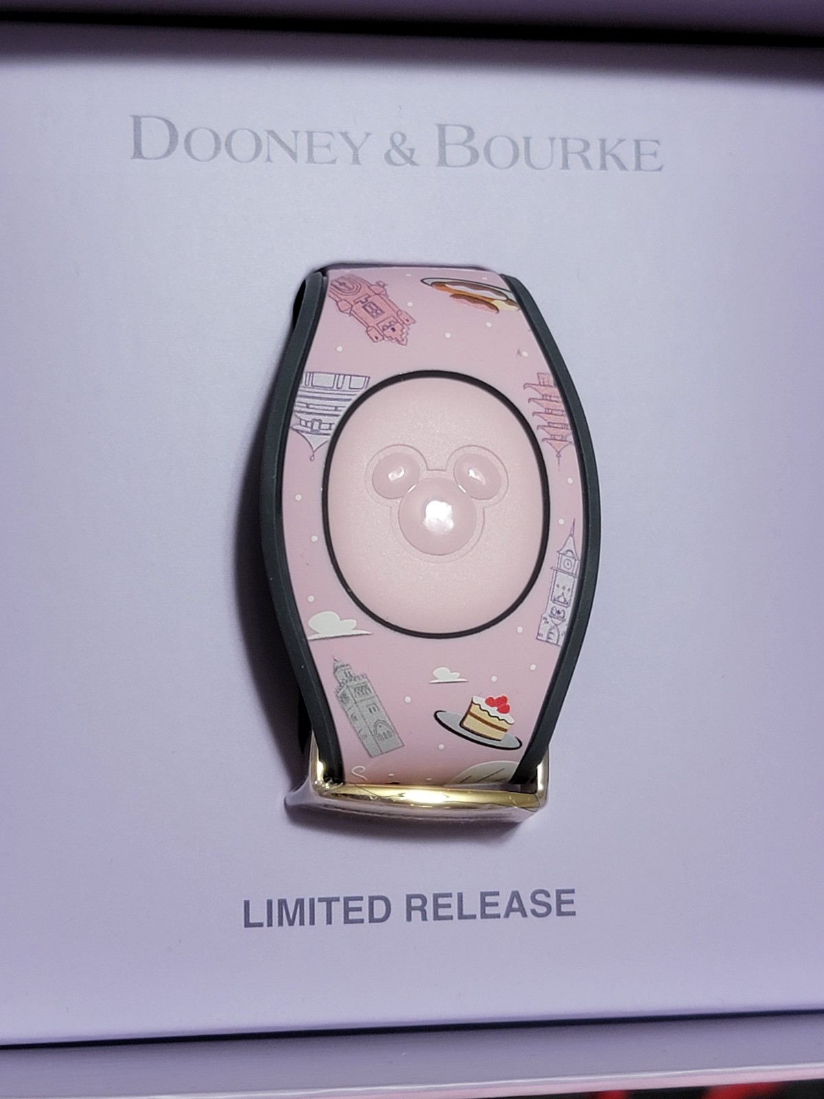Disney EPCOT Food & Wine Festival 2019 Dooney & Bourke Magic Band Magicband