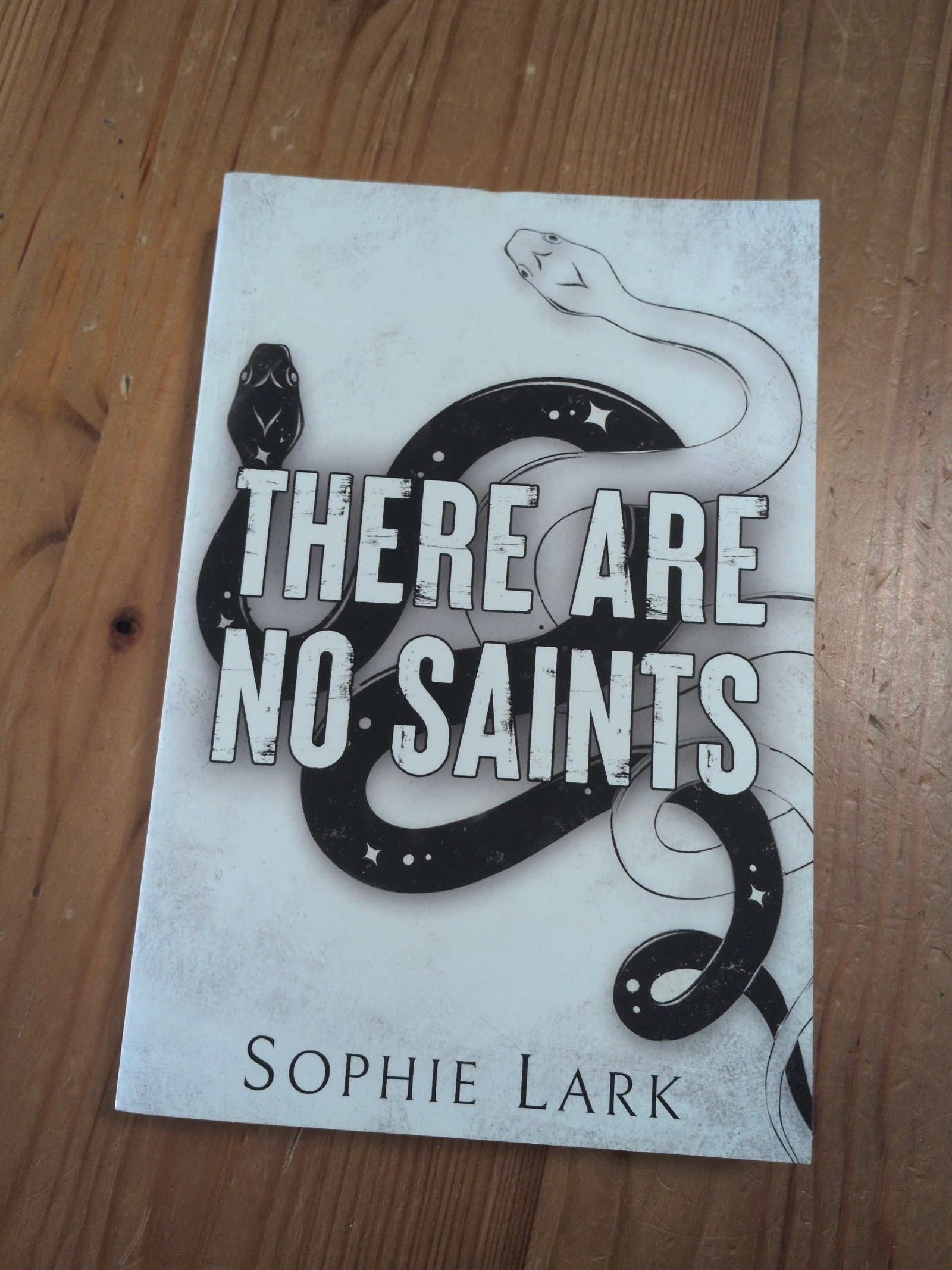 Sophie Lark book 1 sinners duet