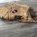 Rawlings PRO 6 Heart of the Hide PRO6 13” Baseball Glove Mitt RHT USA