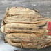 Rawlings PRO 6 Heart of the Hide PRO6 13” Baseball Glove Mitt RHT USA