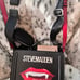 NWT Steve Madden Bevelyn Black Satchel Halloween Vampire Lips Bag Purse