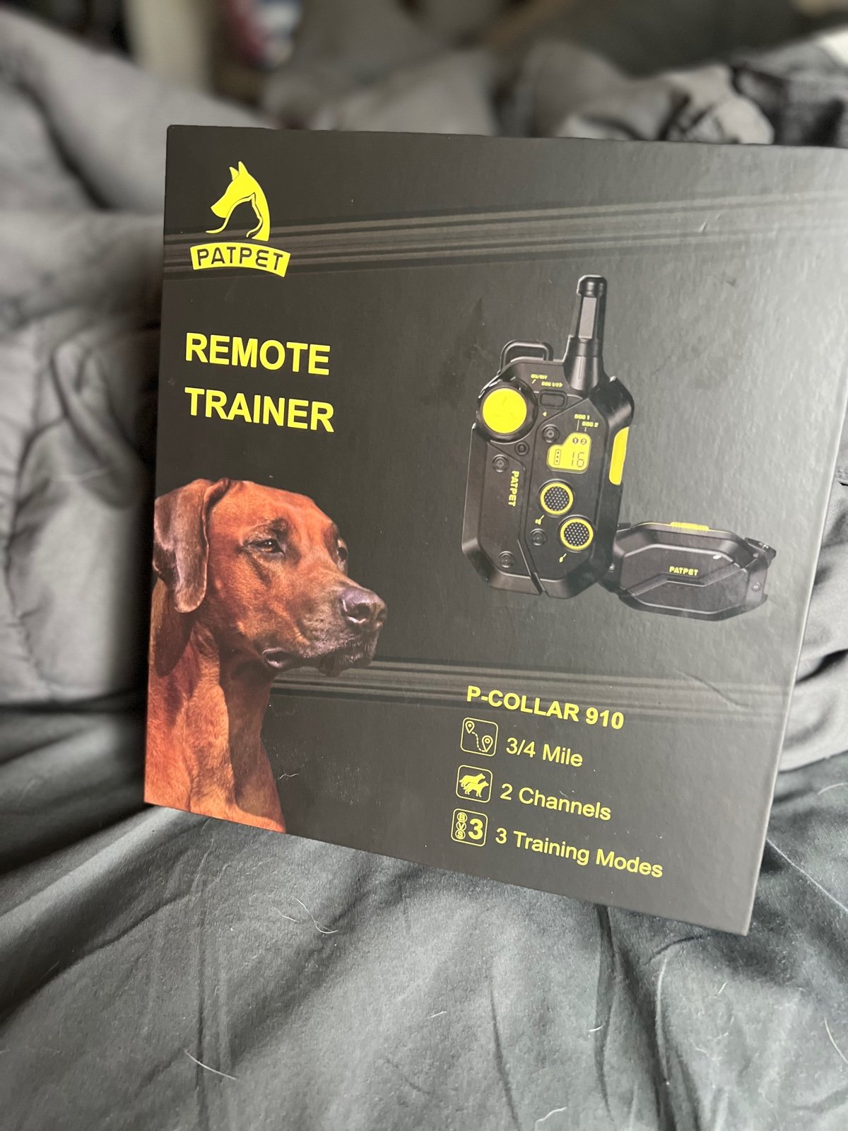 Training E collar
