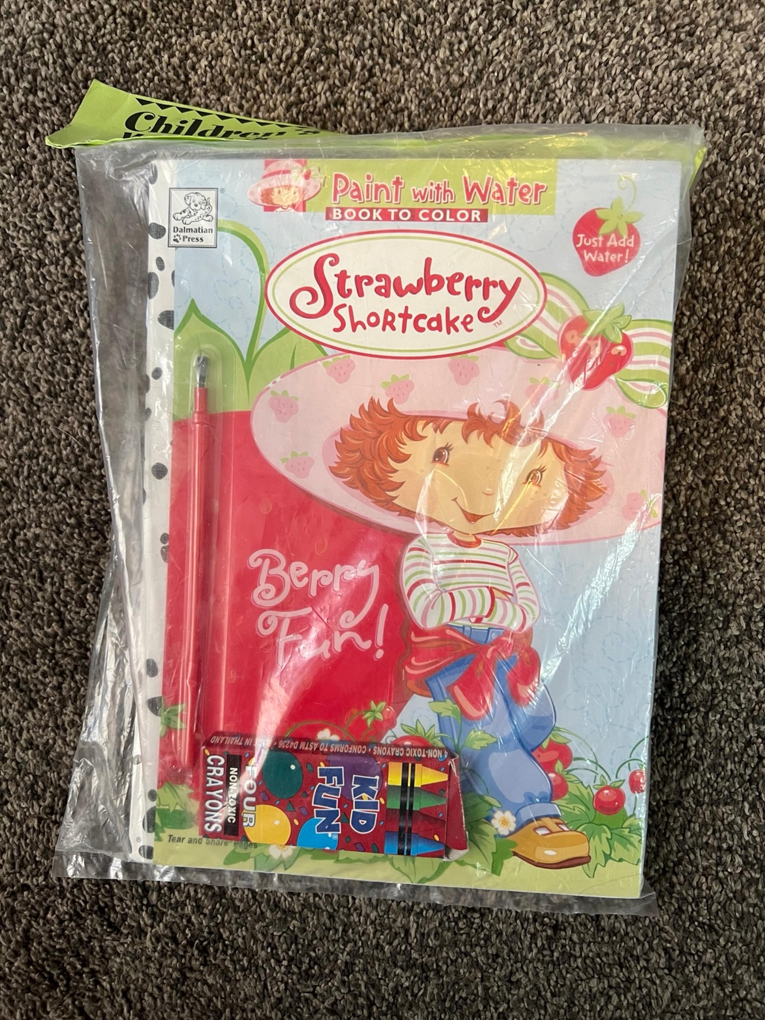 Strawberry shortcake coloring book