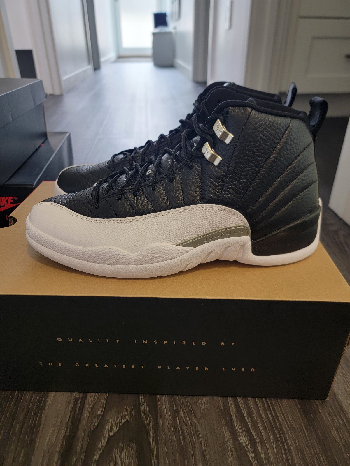 Jordan 12